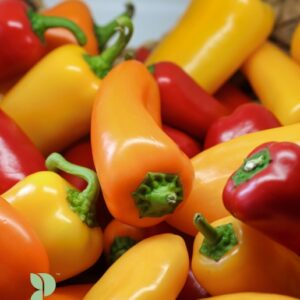 Snack Peppers